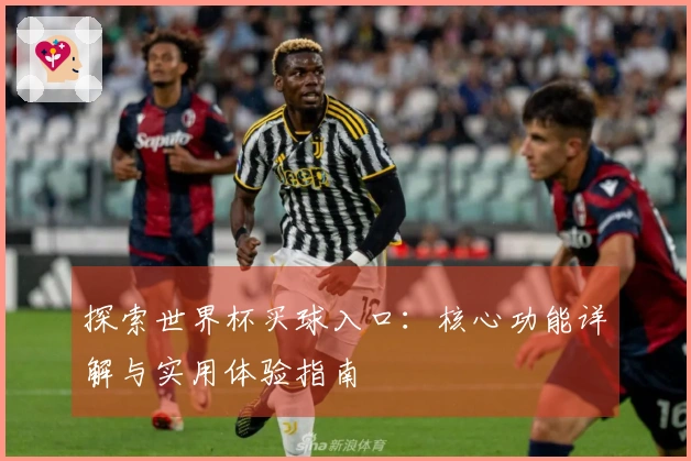探索世界杯买球入口：核心功能详解与实用体验指南
