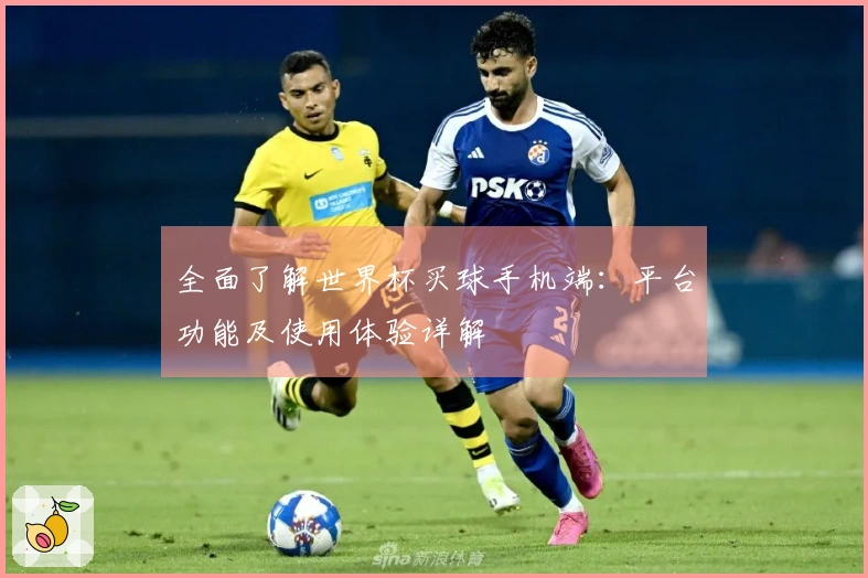 全面了解世界杯买球手机端：平台功能及使用体验详解
