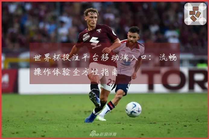 世界杯投注平台移动端入口：流畅操作体验全方位指南
