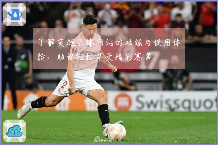 了解英超买球网站的功能与使用体验,助你轻松享受精彩赛事
