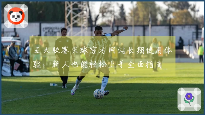 五大联赛买球官方网站长期使用体验，新人也能轻松上手全面指南
