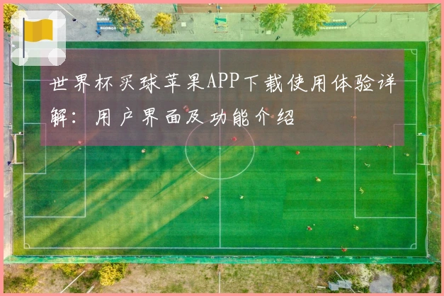 世界杯买球苹果APP下载使用体验详解：用户界面及功能介绍