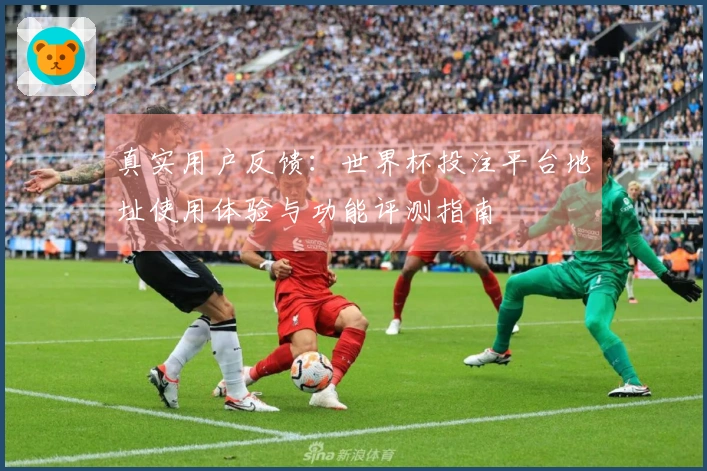 真实用户反馈：世界杯投注平台地址使用体验与功能评测指南