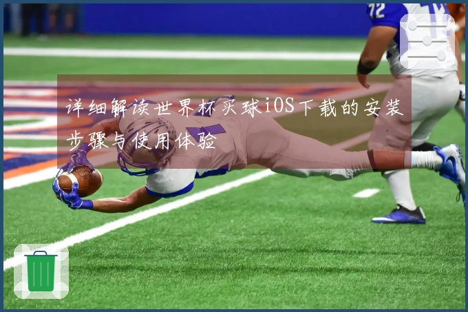 详细解读世界杯买球iOS下载的安装步骤与使用体验