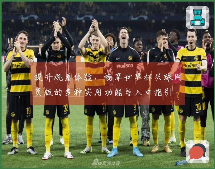 提升观看体验，畅享世界杯买球网页版的多种实用功能与入口指引