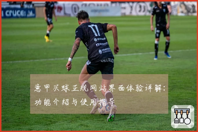 意甲买球正规网站界面体验详解：功能介绍与使用指导