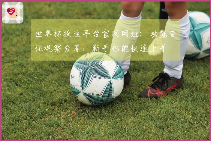 世界杯投注平台官网网址：功能变化观察分享，新手也能快速上手