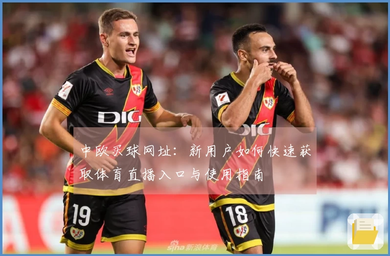 中欧买球网址：新用户如何快速获取体育直播入口与使用指南