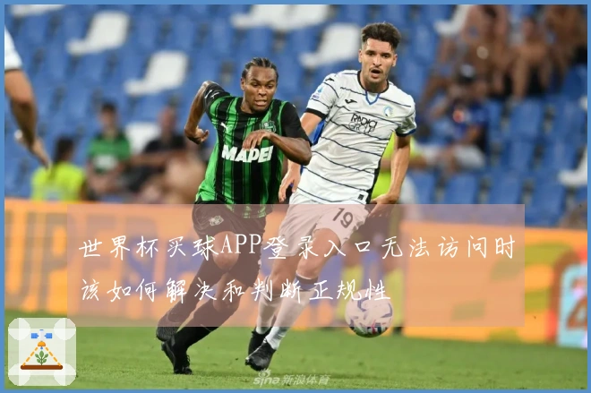 世界杯买球APP登录入口无法访问时该如何解决和判断正规性