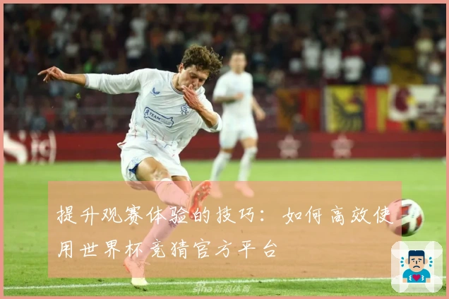 提升观赛体验的技巧：如何高效使用世界杯竞猜官方平台