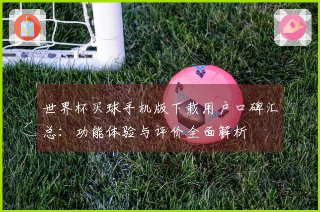 世界杯买球手机版下载用户口碑汇总:功能体验与评价全面解析