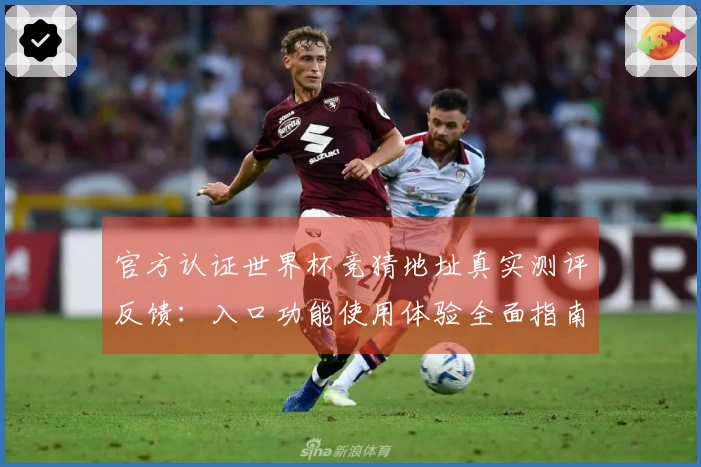 官方认证世界杯竞猜地址真实测评反馈：入口功能使用体验全面指南